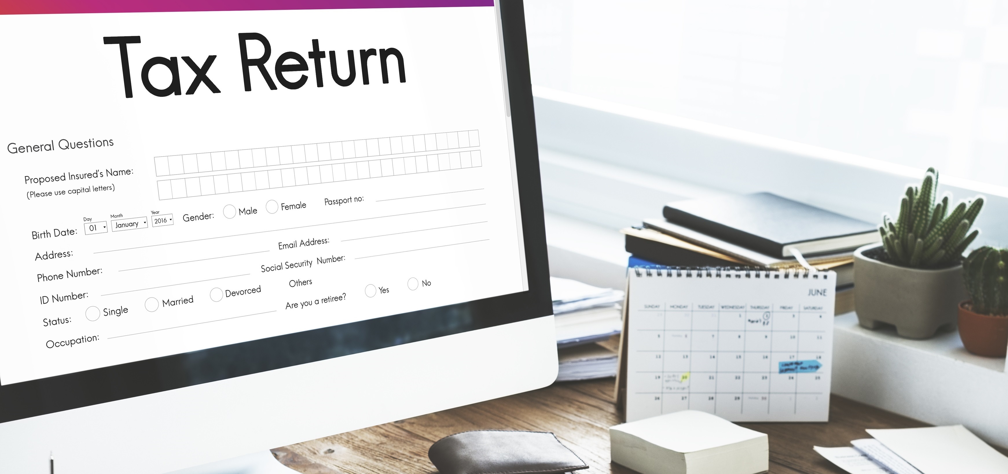 Professional tax services